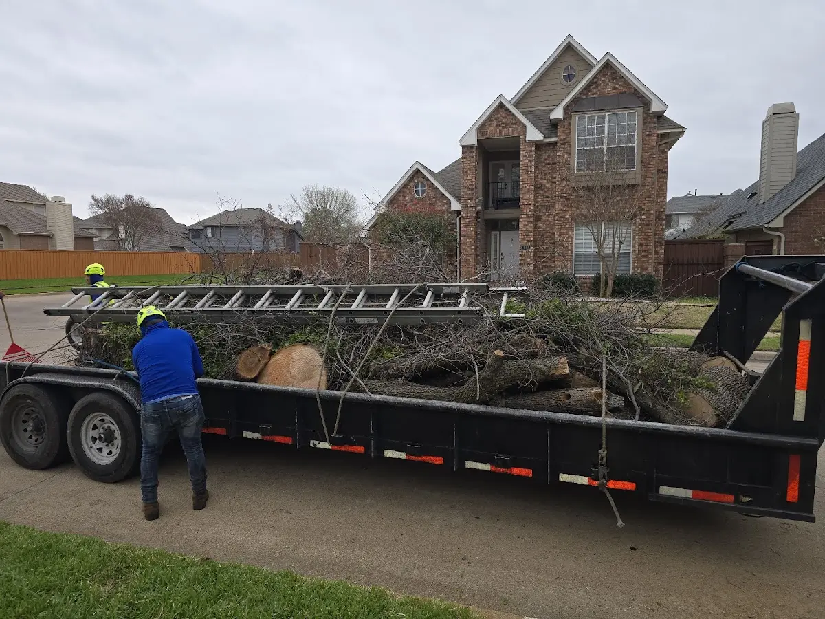 Expert Tree Pest Control with proper safety equipment in Wake